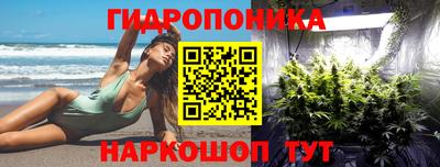 крисы Кимры