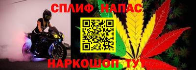 мдма Кингисепп