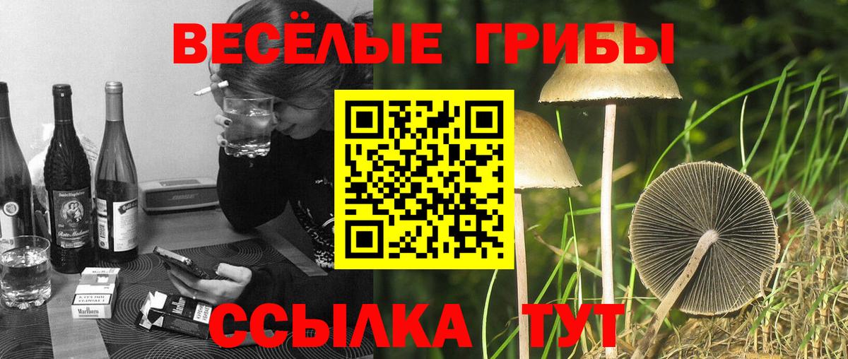 Галлюциногенные грибы мицелий Балашов