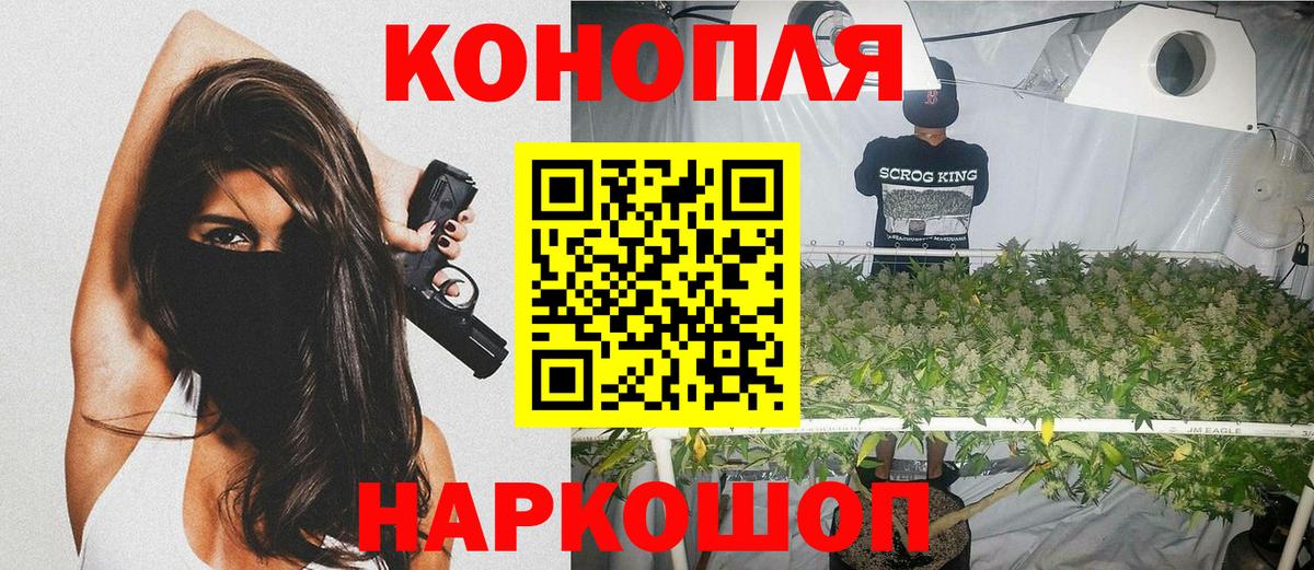 Бошки Шишки план  Вход с VPN  Шишки марихуана THC 21%  Балашов 
